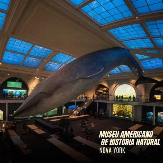 Museu Americano de História Natural