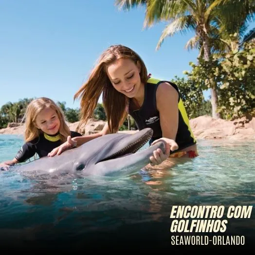 SeaWorld Orlando - Encontro com Golfinhos