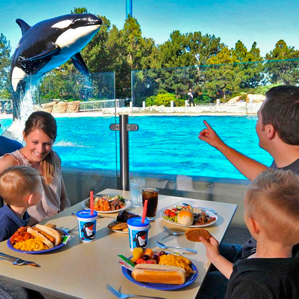 SeaWorld - Refeição com Orcas