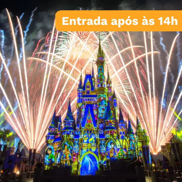 Disney promo entrada 14h.png