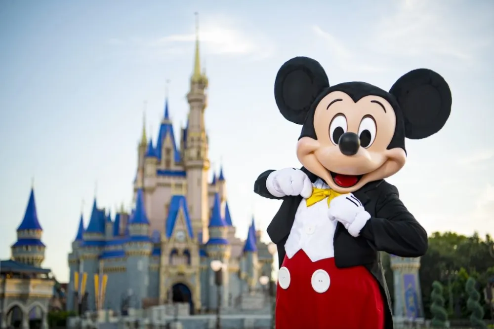 Treinamento Disney: Como Transformar sua Empresa em uma Máquina de Encantar Clientes