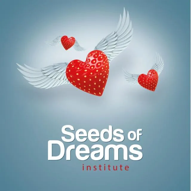 Seeds Of Dreams Institute Treinamento e Palestras Ltda