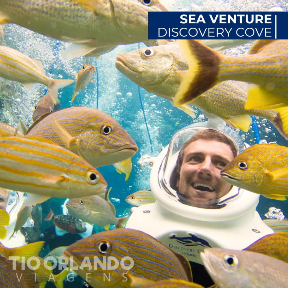SeaVenture