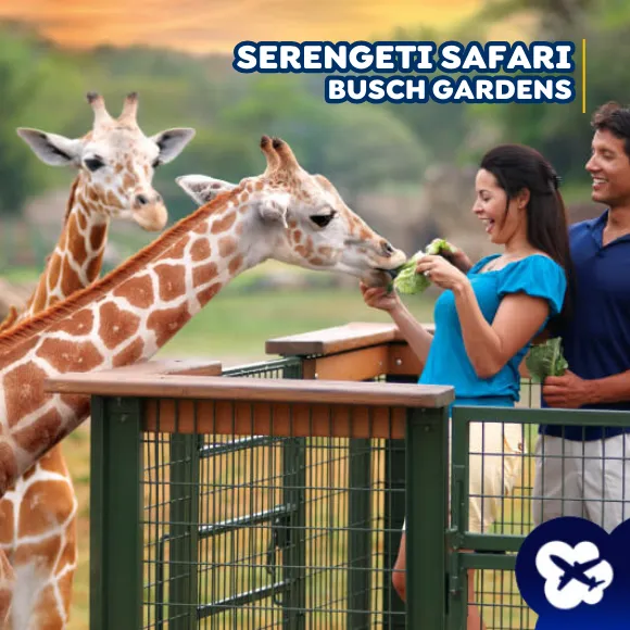 Ingressos Serengeti Safari Tour - Bush Gardens Tampa