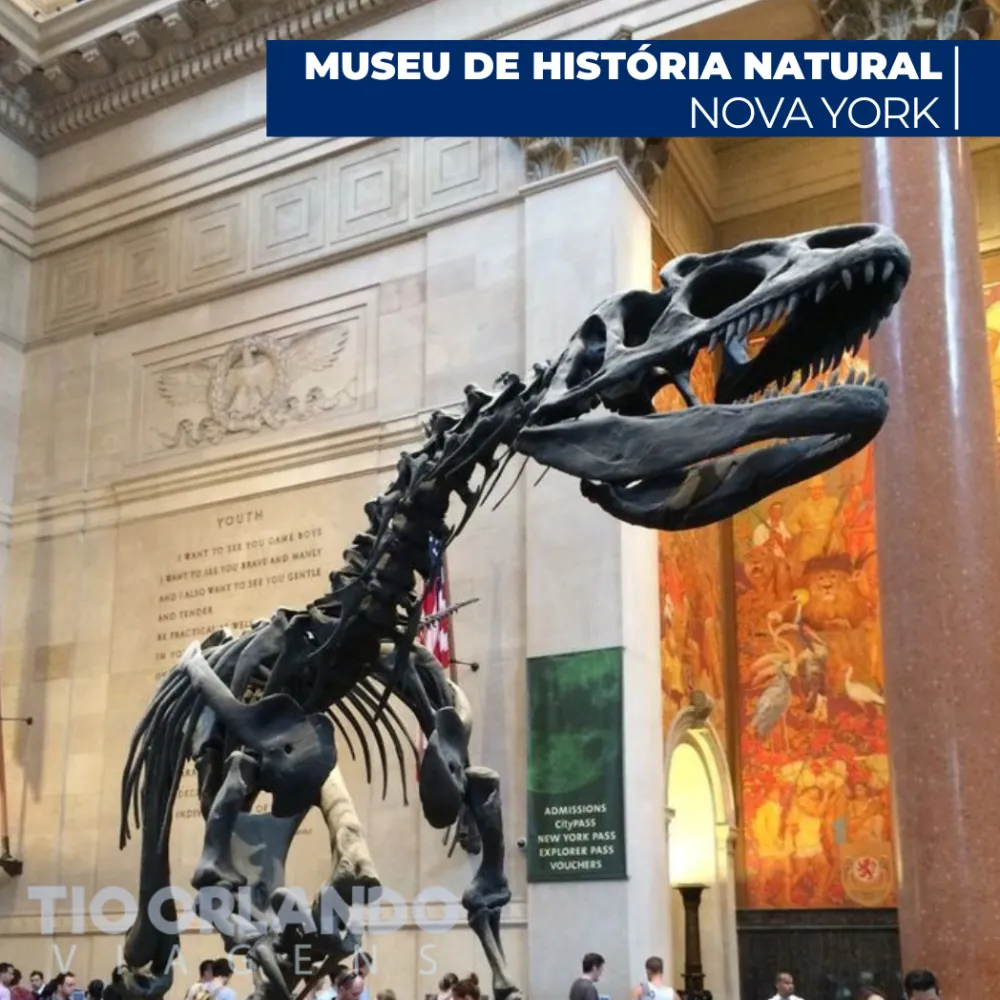 ⁠Museu Americano de História Natural