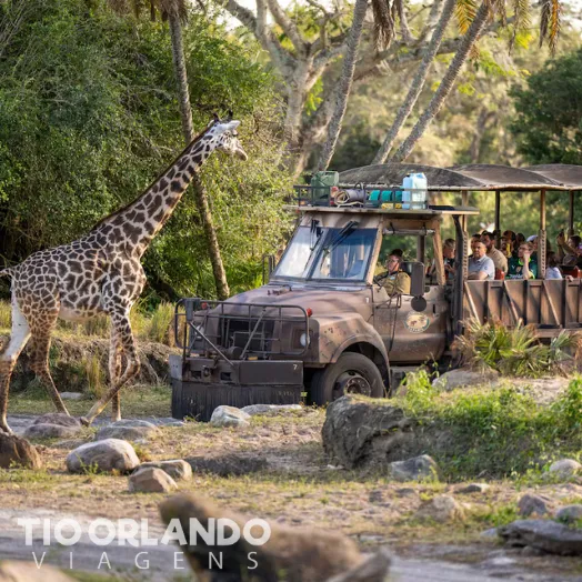 INGRESSOS DISNEY BARATOS ANIMAL KINGDOM ORLANDO.png