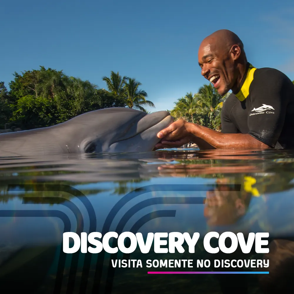 DISCOVERY COVE ORLANDO - 1 DIA