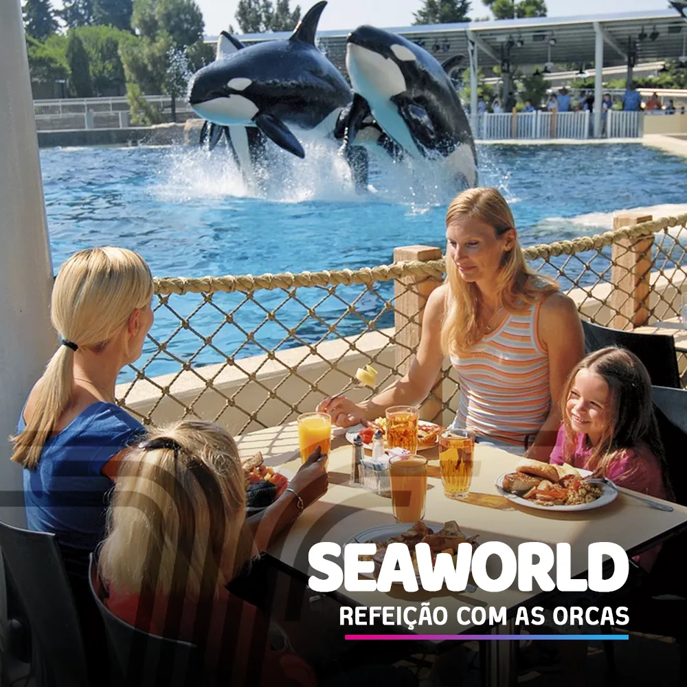 seaworld_orcas_central_ticket.png
