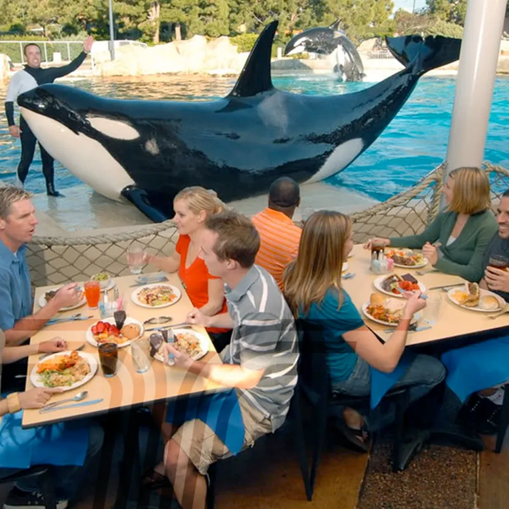 seaworld_orcas_central_ticket_001.png