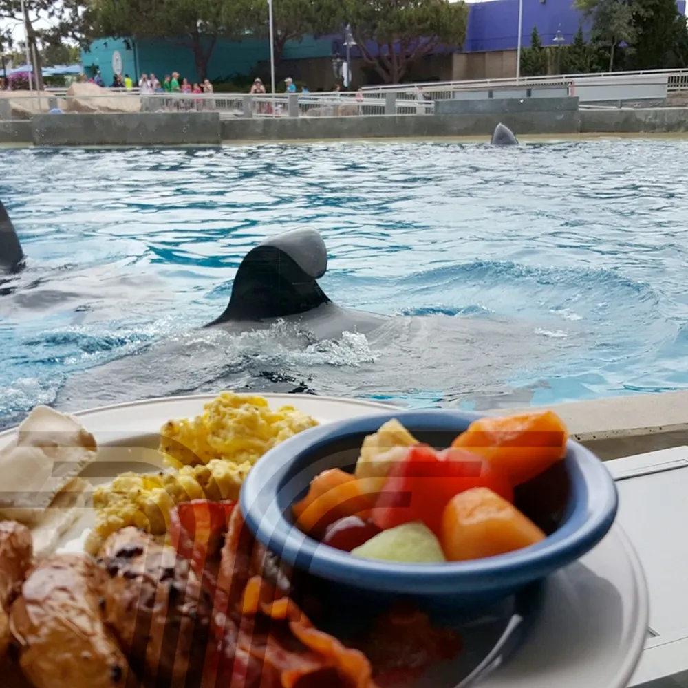 seaworld_orcas_central_ticket_002.png
