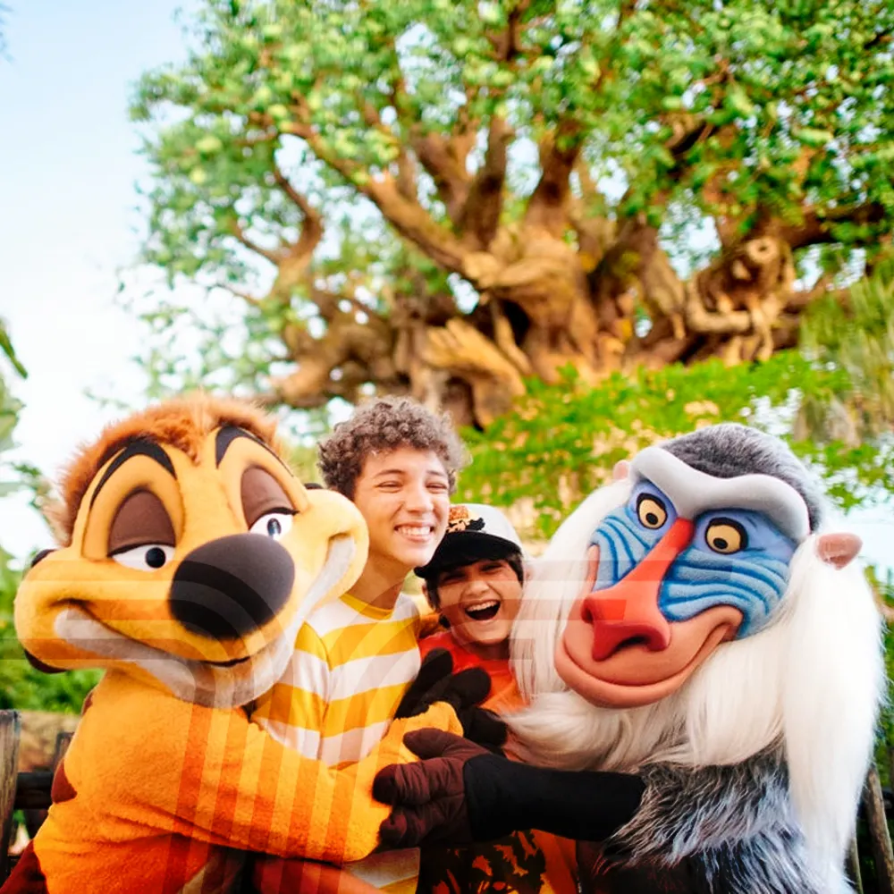 Ingresso_Disney_Orlando_Central_Ticket_005.png