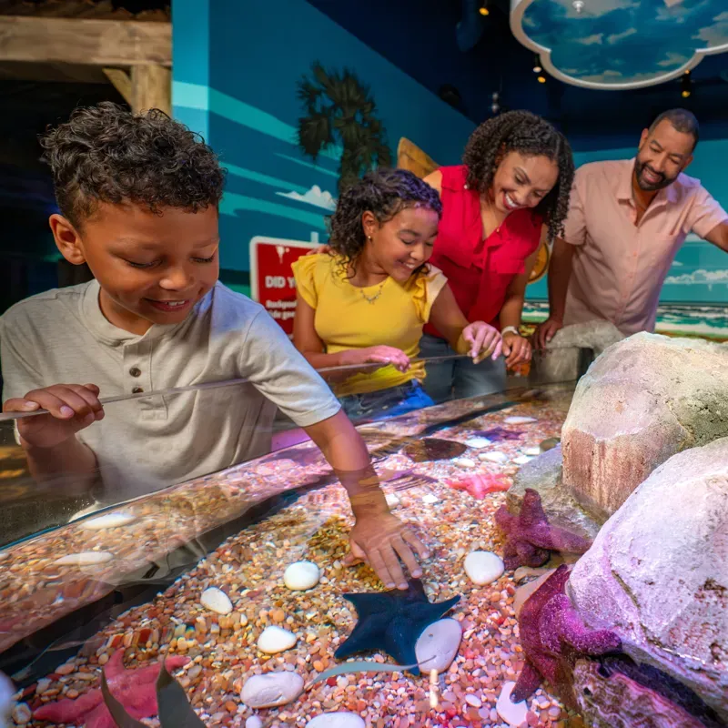 Sea Life Aquarium Florida: O aquário do Legoland Resort