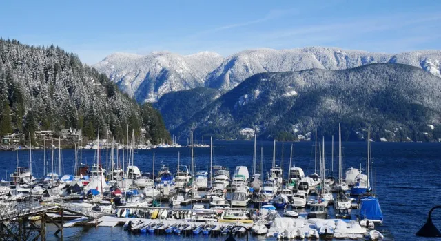 Deep Cove fjord mountains reflection tranquil