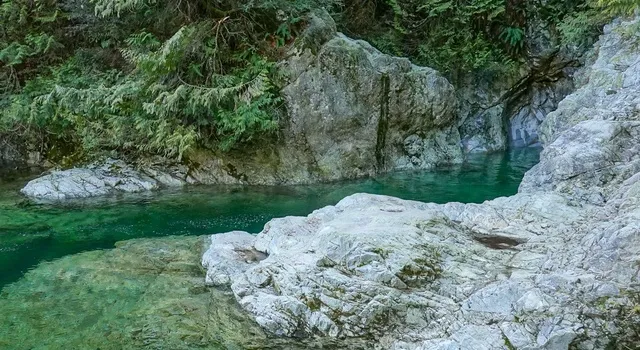 Lynn Canyon Park waterfall forest suspension bridge