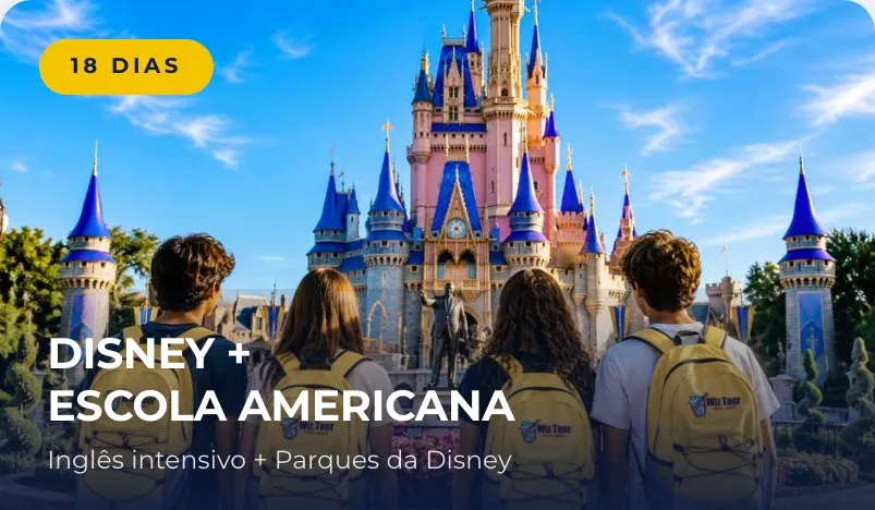 Disney + Escola Americana