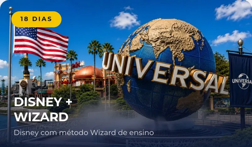 Disney + Wizard