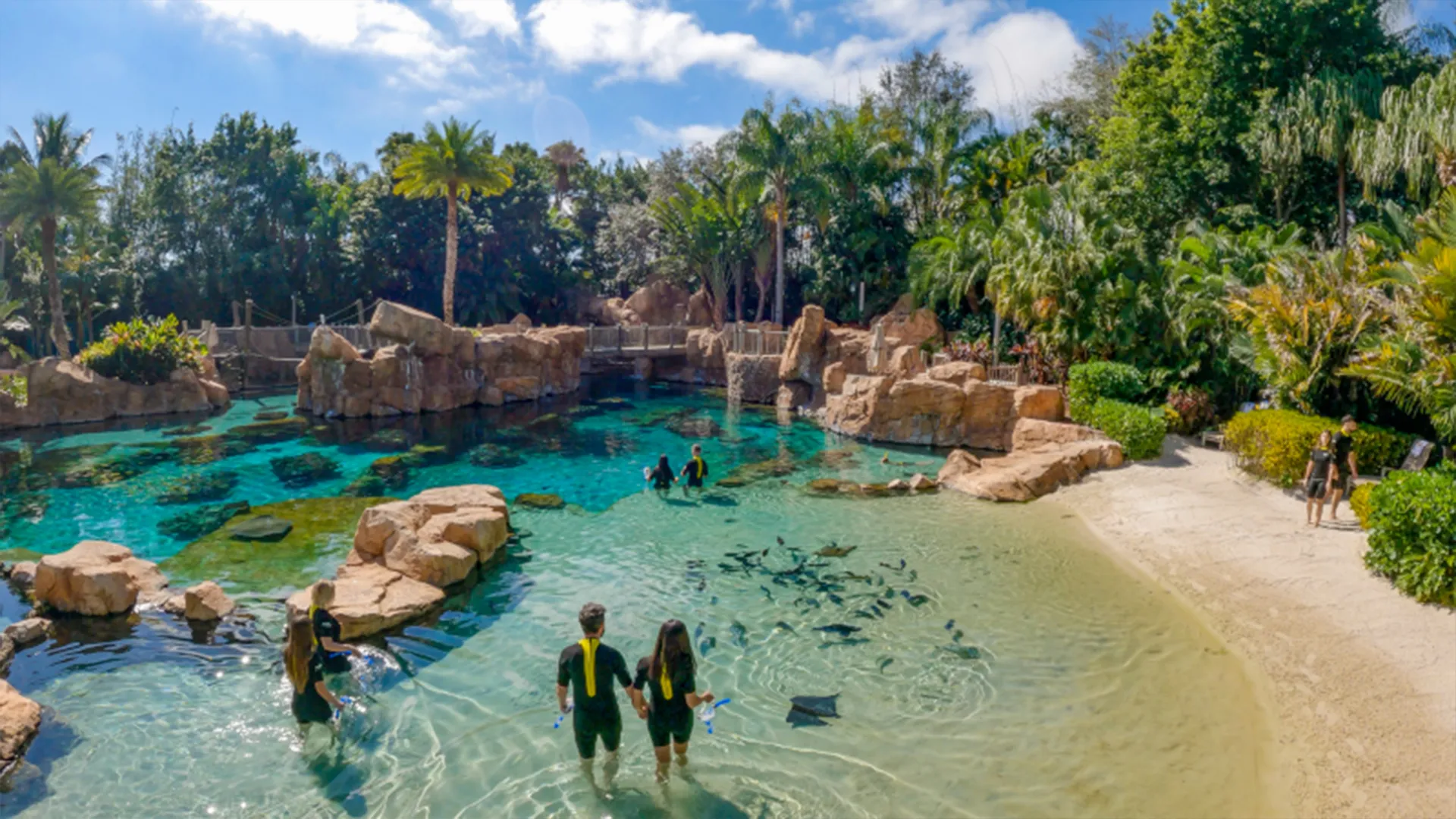 Visitantes interagindo com os animais do Discovery Cove no Grand Reef