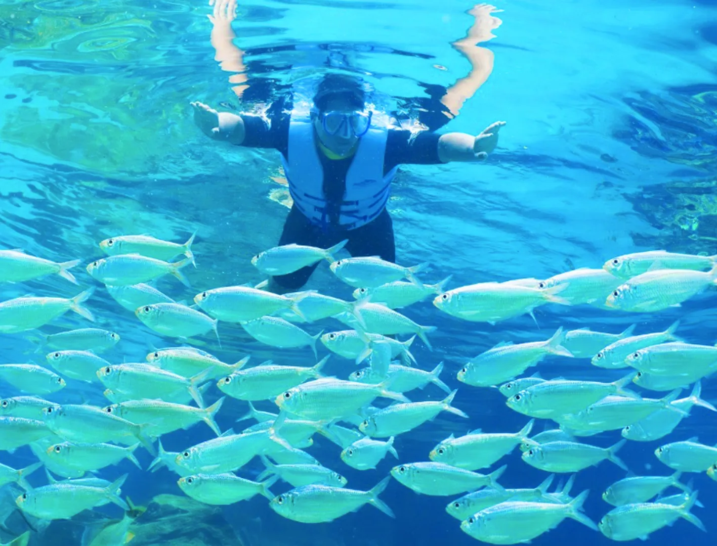 Homem mergulhando com snorkel no The Grand Reef 