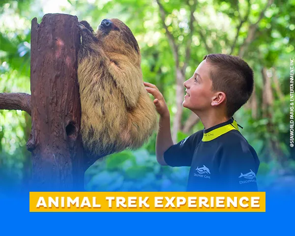 Animal Trek – Discovery Cove