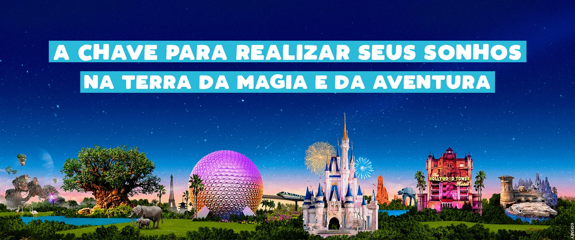 Banner Walt Disney World