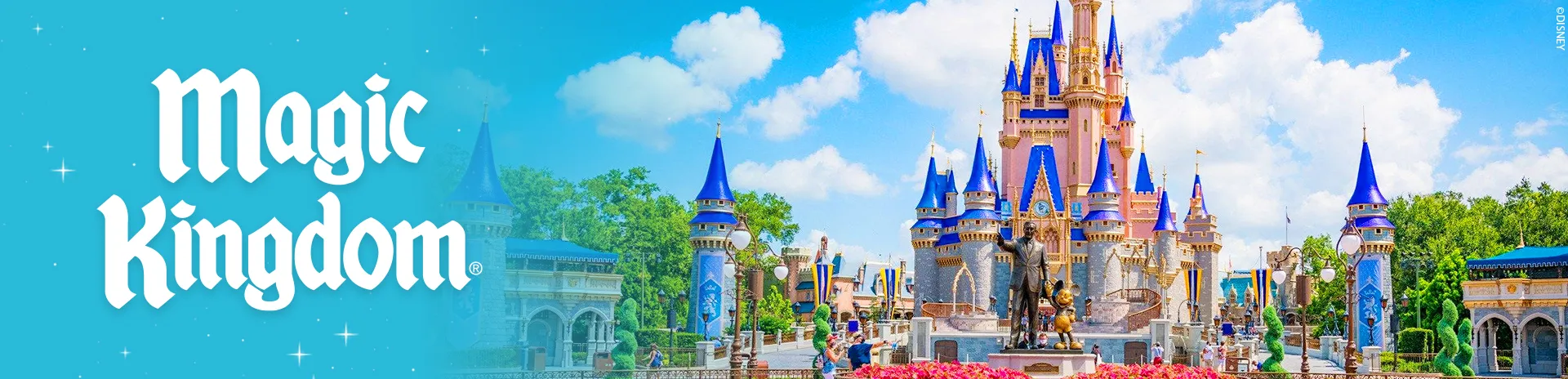ingresso magic kingdom