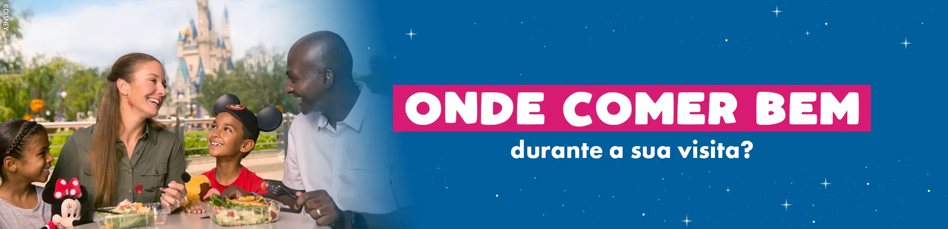 Ingressos Walt Disney World - Orlando