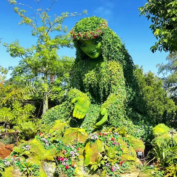 World Nature