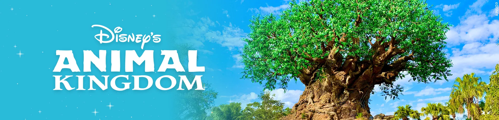 Parque Disney Animal Kingdom