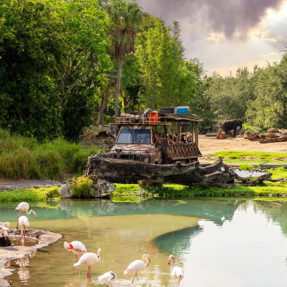 kilimanjaro safaris