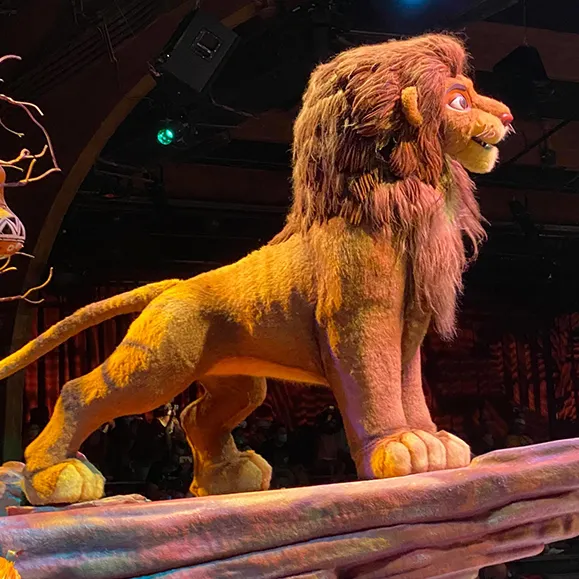 festival of the lion king