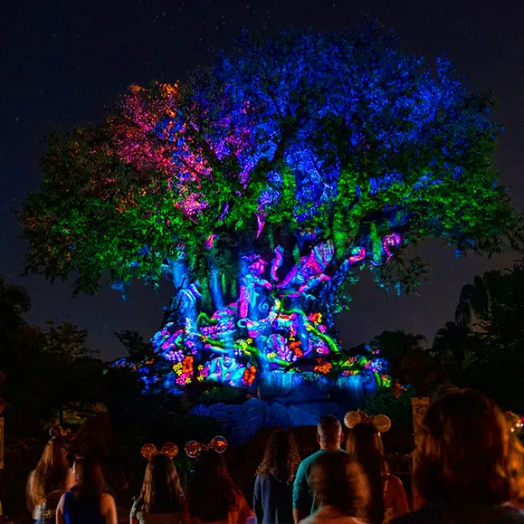 tree of life awakenings