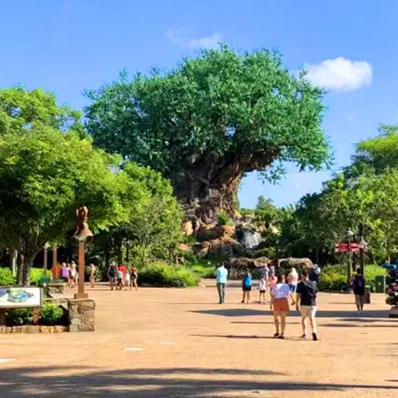 Discovery Island