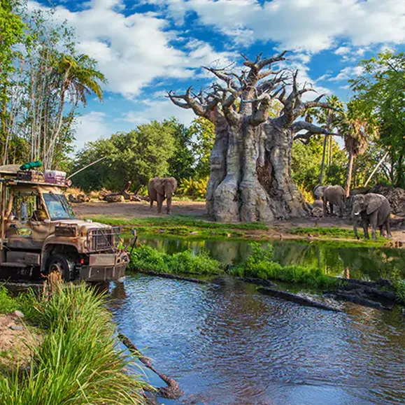 Africa